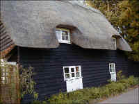 Little Thatches
